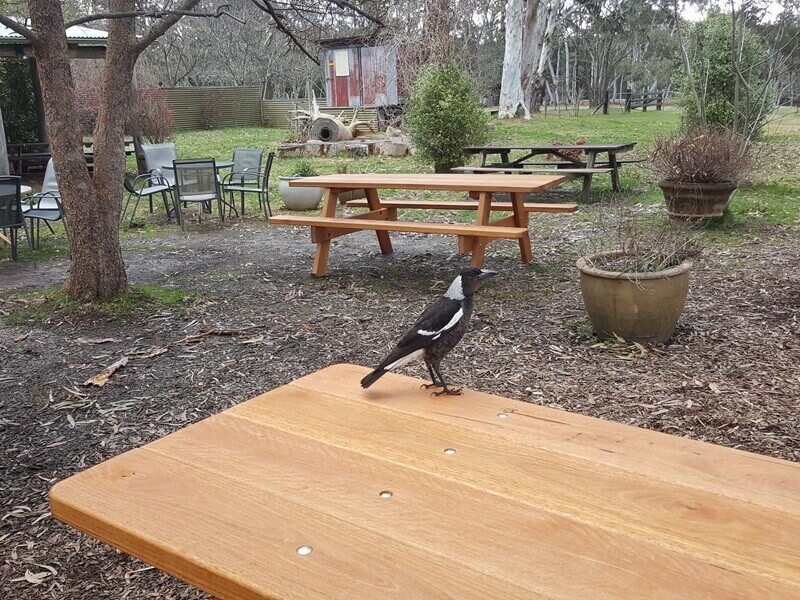 Commercial picnic tables at Megalong Valley Tea Room